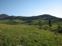 Healy Pass